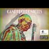 Gunner Gandhi (Explicit) - Q-Jungle&Sandy Solo