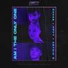 Am I The Only One - R3HAB&Astrid S&HRVY