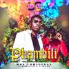 Phambili (Explicit) - MSA&Pannick Original&Directa J&Wize