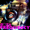 Frequency - Boza