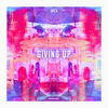 Giving Up (Radio Edit) - Brdi