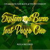 System We Burn(Original) - CMC&Timothy Wisdom&Silenta&Busta&Peace One