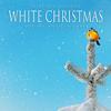 Greensleeves (What Child Is This) - Steve Glotzer&The Boones&Nina Postolovskaya