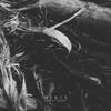 Exsorbeo - Hexis
