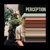 Perception - Ty Naps