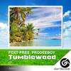 Tumbleweed (Original Mix) - Prodeeboy&Foxt