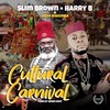 Cultural Carnival(feat. Harry B & Ecoo Nwamba) - Slim Brown&Harry B&Ecoo Nwamba