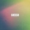 SHEESH (feat. Tylynn) - Wes Harris&Tylynn