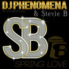 Spring Love (DJ Vidal Radio Teknobeat Mix) - DJ Phenomena&Stevie B