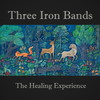 Three Iron Bands - The Healing Experience&Katie Tich&Second Chance Sounds