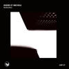 Shifting (KI Remix) - Andre et Michele&Ki