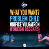 WHAT YOU WANT? (Explicit) - Problem Child&Orifice Vulgatron&Illaman