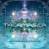 Take Control (Original Mix) - TALAMASCA&Mesmerizer