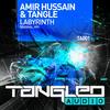 Labyrinth (Original Mix) - Amir Hussain&Tangle