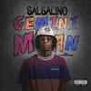 Gemini Man (Explicit) - Salsalino