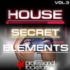 Roman (Rockstar Remix) - Scott Mason&Rockstar