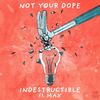 Indestructible(feat. MAX) (Instrumental Mix) - Not Your Dope&MAX