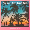 Pure Love (Terry Gaters Remix) - Melchi&Terry Gaters