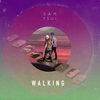 Walking - Sam Tsui