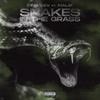 Snakes In The Grass(feat. Malik) (Explicit) - King Kev&Malik