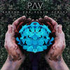 New Reality - Pav