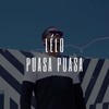 Puasa puasa - Lelo