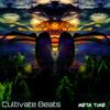 Meta Time(feat. Anila Vucaj) - Cultivate Beats&Anila Vucaj