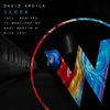 Skrrr (Original Mix) - David Ardila