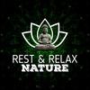 Summertime Brook - Rest&Relax Nature Sounds Artists