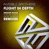 Flight in Depth (Gregory Esayan Remix) - Invisible Brothers