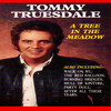 Still Got a Crush on You - Tommy Truesdale&Overstreet&Dillon