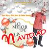 Se Acercan los Dias(feat. Willo) - Noel Diaz&Willo