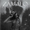 Zamalo - Marko Mandić