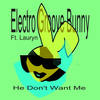 He Don't Want Me - Electro Groove Bunny&Lauryn