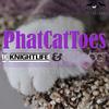 PhatCatToes - DJ Knightlife&Seth Vogt