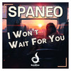 I Won't Wait For You (Extended Mix) - Spaneo