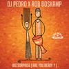 Big Surprise(Are You Ready?) - DJ Pedro&Rob Boskamp