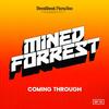 I Would Fall (Blockboy Remix) - Mined&Forrest&Blockboy&Lawn&Stephanie Lottermoser&Eve Lamell