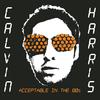 Acceptable in the 80's (Glimmers Remix) - Calvin Harris