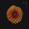 Observer (Joel Pasco Remix) - Vilius J&Joel Pasco