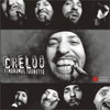 Propaganda iresponsabila - Cheloo&Dj Dox&raku
