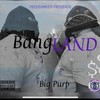 Pj Story(feat. Ace Ducati) (Explicit) - Big Purp &Ace Ducati