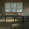 doomsday - Lizzy McAlpine