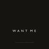 Want Me - KVPV&Artsiom Zyl