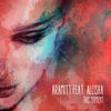 This Moment (R1SE Remix) - Aramitt&Allisha&R1SE