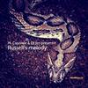 Russell's Melody - M. Caporale&Dj Jim
