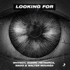 Looking For - WhyNot Music&Gianni Petrarca&Wadd&Walter Mourão