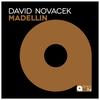Madellin - David Novacek