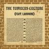 The Tumulus Culture(feat. Lanvoine) - MojoKing&Lanvoine