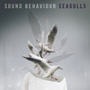 Seagulls - Sound Behaviour&Alejandro Gabriel Seoane